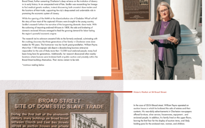 The Accidental Historian